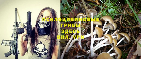 таблы Алексеевка