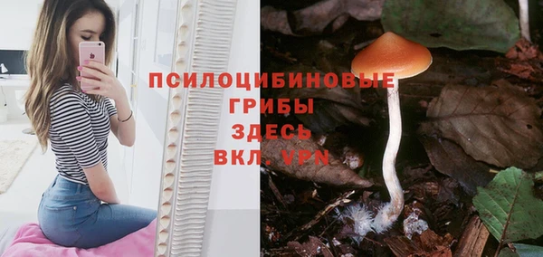 apvp Абаза