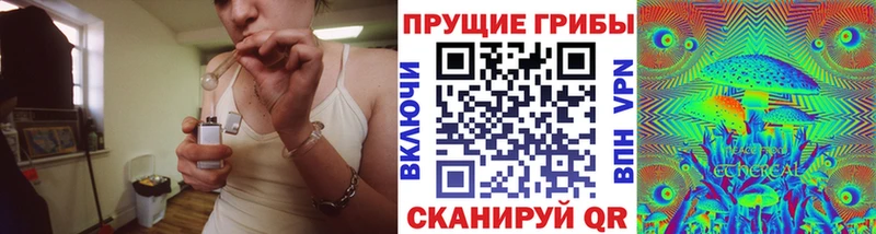 хочу   Новосиль  Галлюциногенные грибы мицелий 